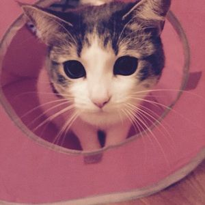 Meet your Posher, Karah